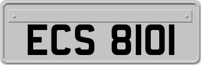 ECS8101