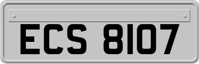 ECS8107