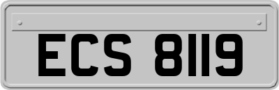 ECS8119