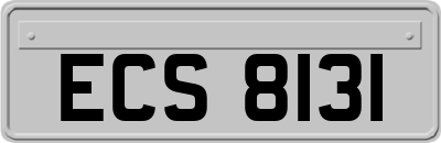 ECS8131