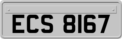 ECS8167