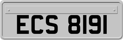 ECS8191