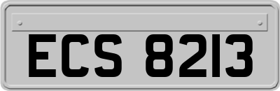 ECS8213