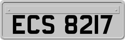 ECS8217
