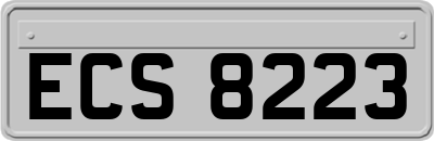 ECS8223