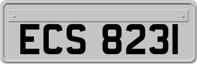 ECS8231