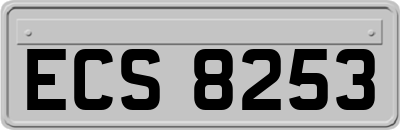 ECS8253