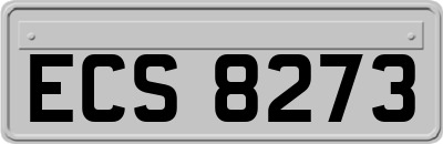ECS8273