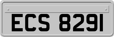 ECS8291