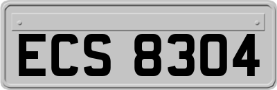ECS8304