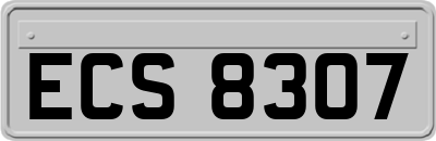 ECS8307