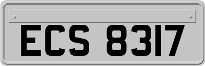 ECS8317