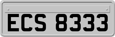 ECS8333