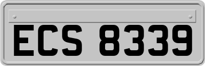 ECS8339