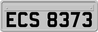 ECS8373