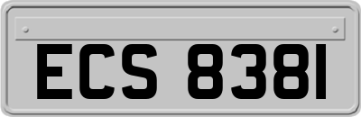 ECS8381