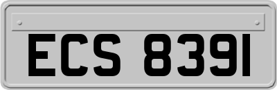 ECS8391
