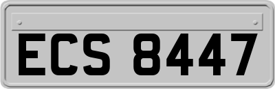 ECS8447