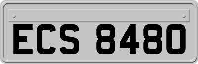 ECS8480