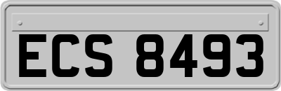ECS8493