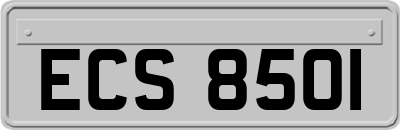 ECS8501