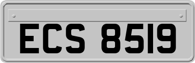 ECS8519