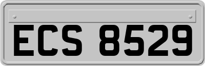 ECS8529