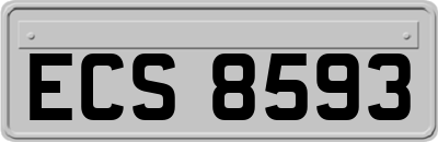 ECS8593