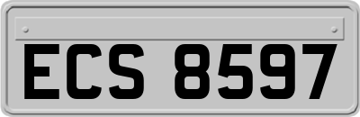 ECS8597