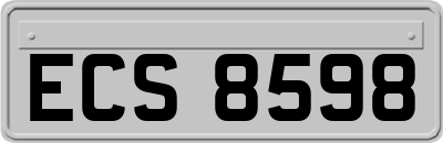 ECS8598