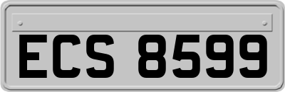 ECS8599