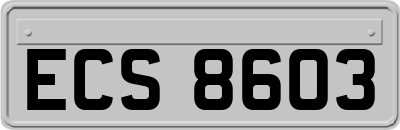 ECS8603