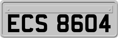 ECS8604