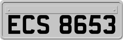 ECS8653