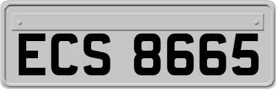 ECS8665