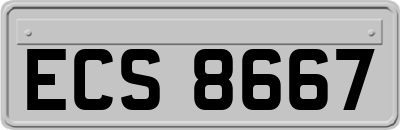 ECS8667