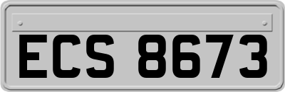 ECS8673