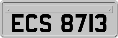 ECS8713