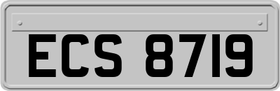 ECS8719