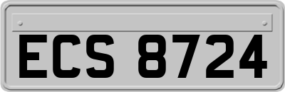 ECS8724