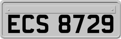 ECS8729