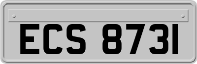 ECS8731