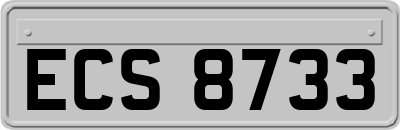 ECS8733