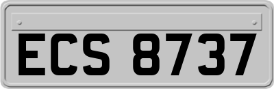 ECS8737