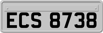 ECS8738