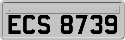 ECS8739
