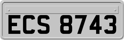 ECS8743