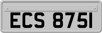 ECS8751