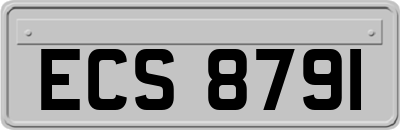 ECS8791