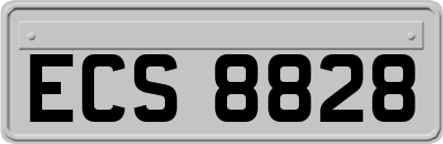 ECS8828